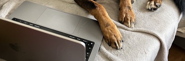 daria_rom__ Profile Banner