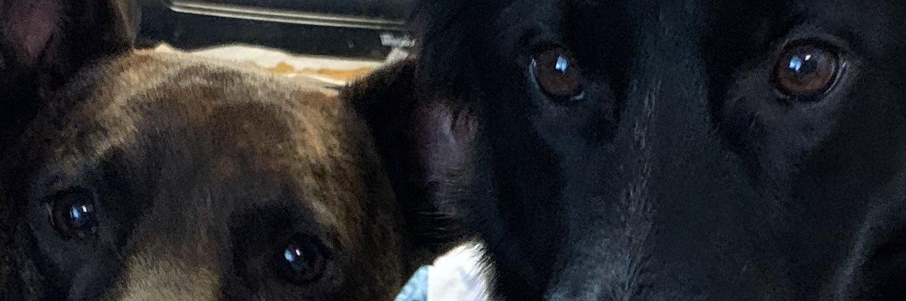 RobynRenee19's profile banner image