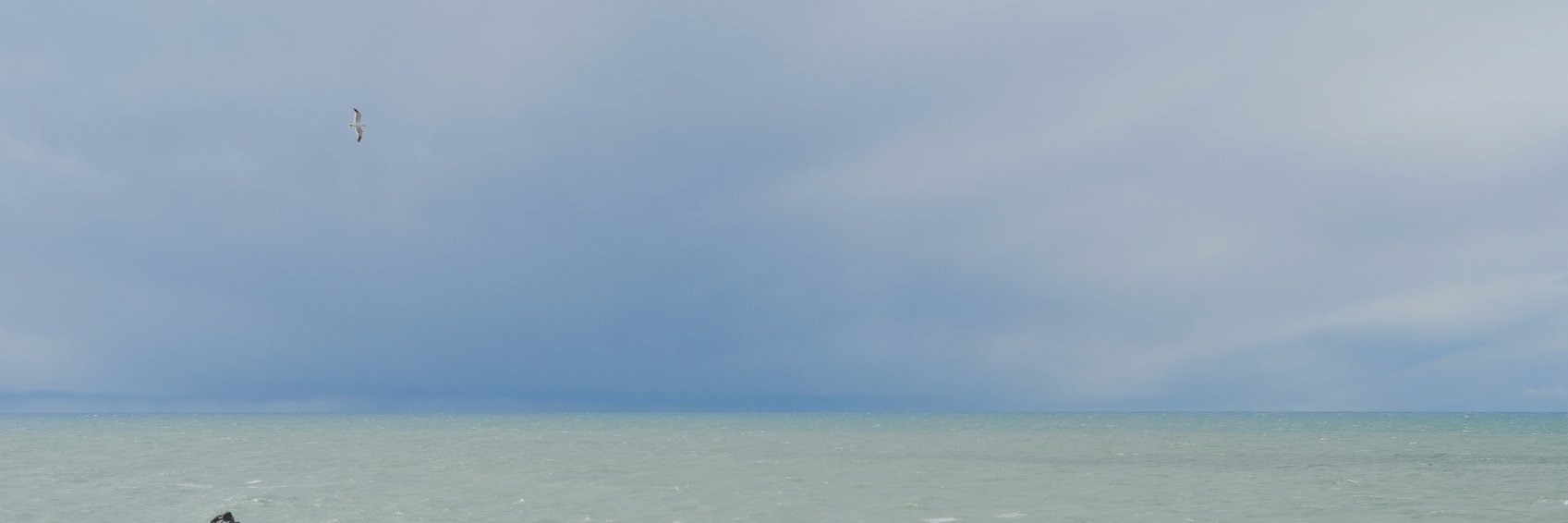 jesseborkowski's profile banner image