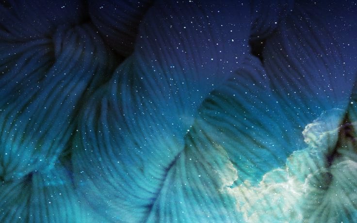 Knitspecibus's profile banner image