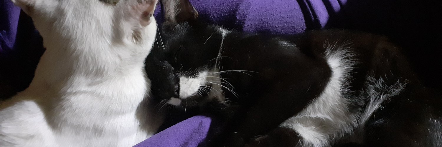 diein27ways's profile banner image