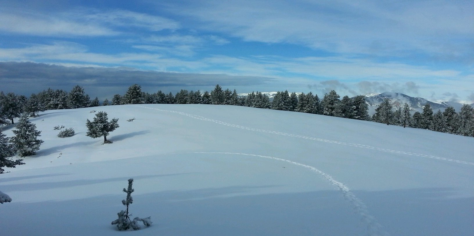 tlopezarnau's profile banner image
