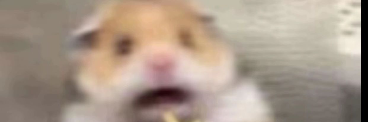 veludocotele's profile banner image