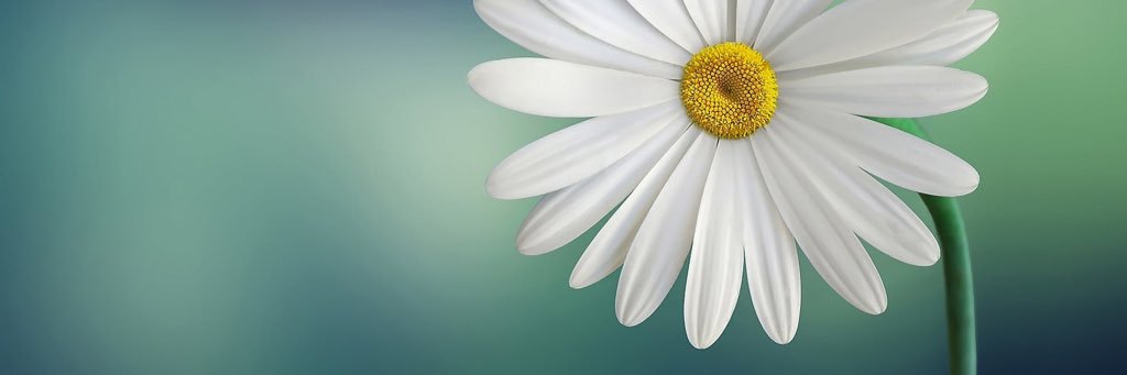 LaurCutieFace's profile banner image