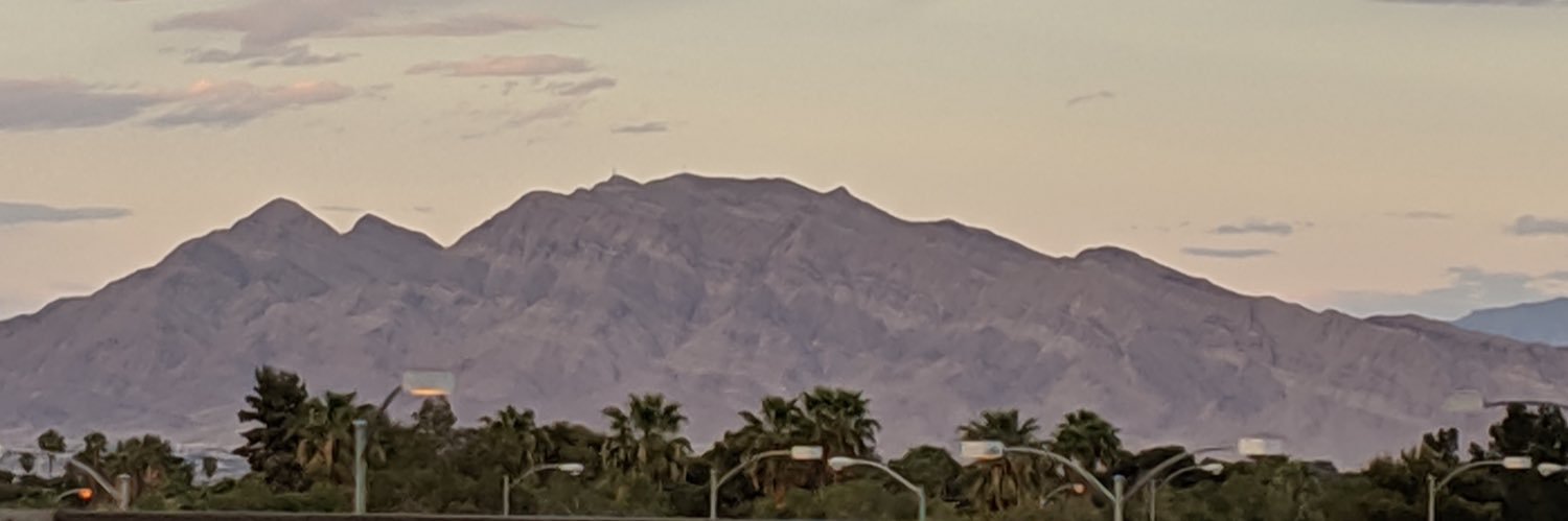 Steez's banner