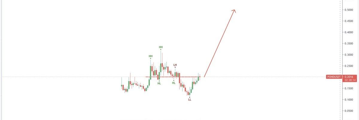 SatoshiLord🌍🚀 💸 banner