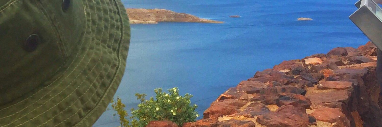 DeYoungTish's profile banner image