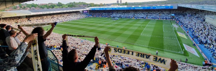 Nick Ringrose banner