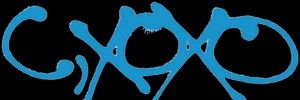 chasingrk's profile banner image