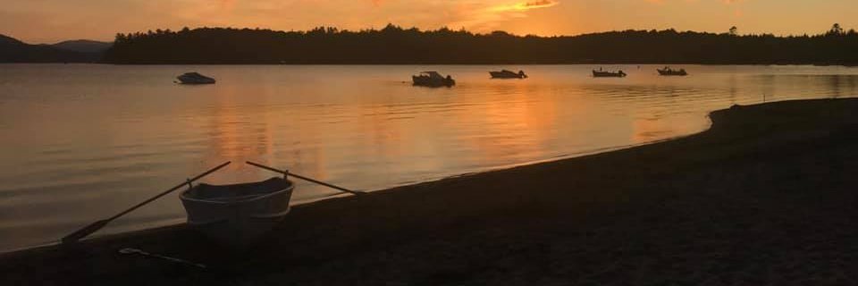 Candra Skrzypek banner