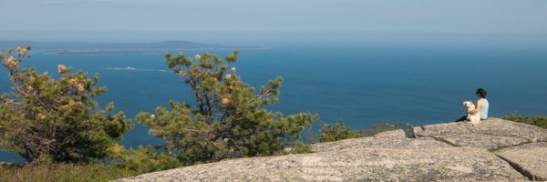 SarahGantz Profile Banner