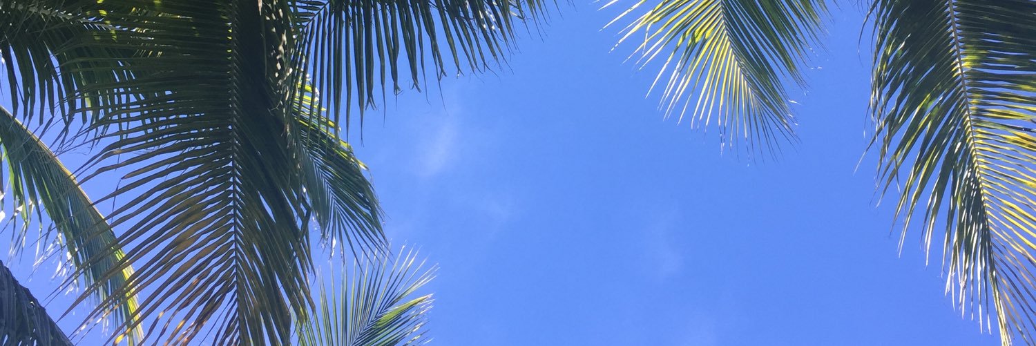 aymilca's profile banner image