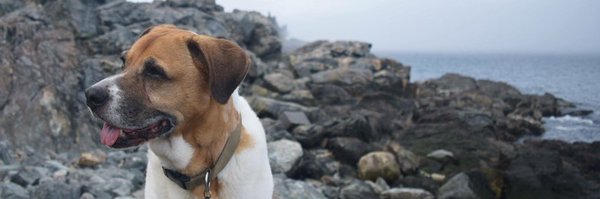 KimEWickham Profile Banner