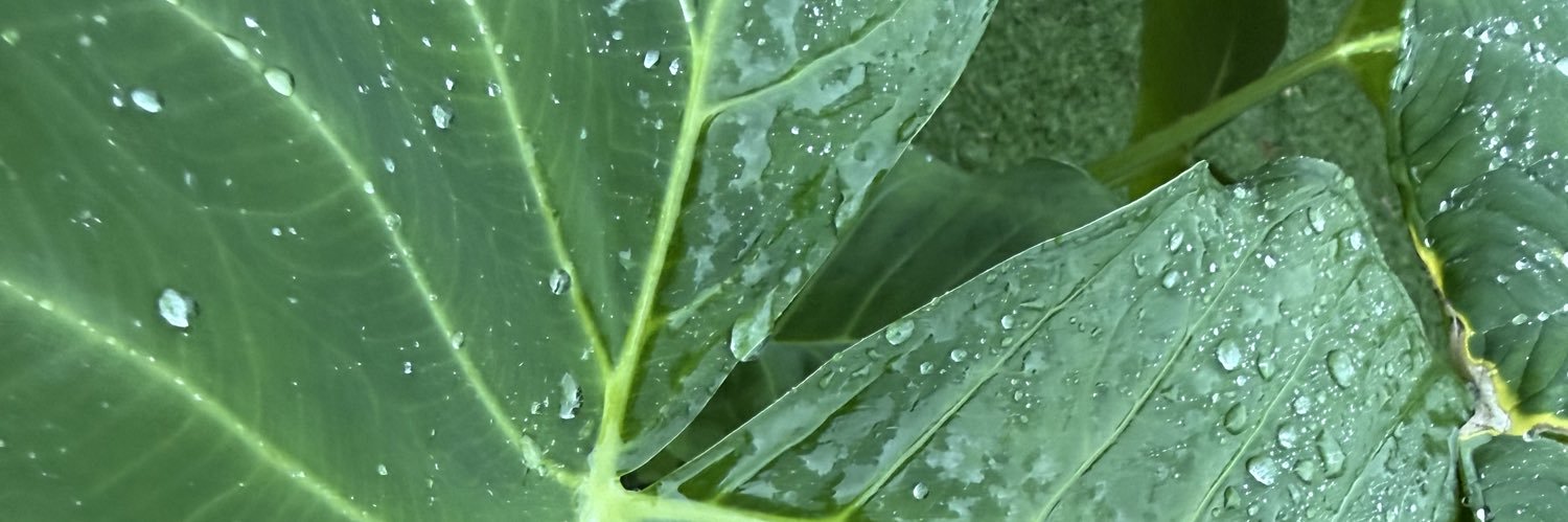 aalyynaa13's profile banner image