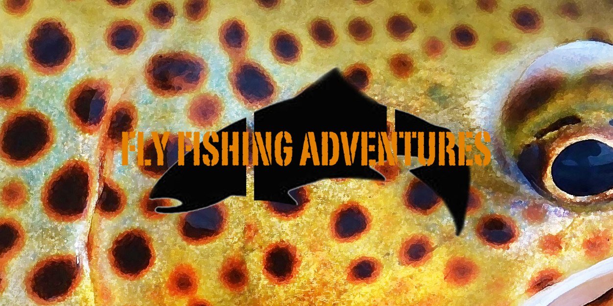 Massimo_Felix's profile banner image