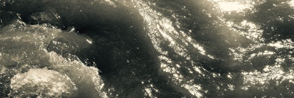 renice Profile Banner