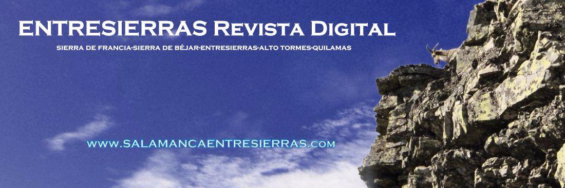ENTRESIERRASrd's profile banner image