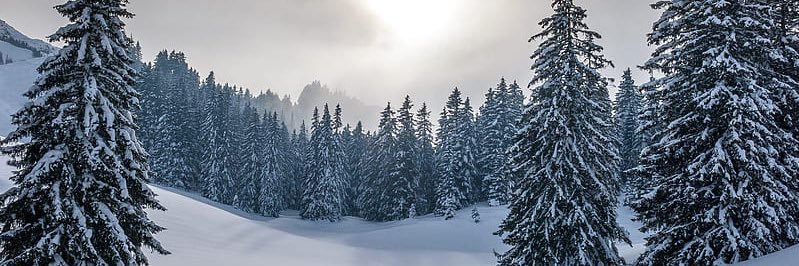 Thedrewmy's profile banner image