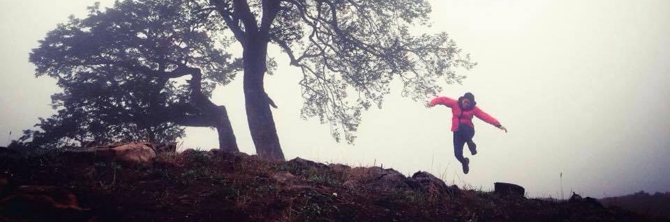 Dolphin🐬🥢 banner