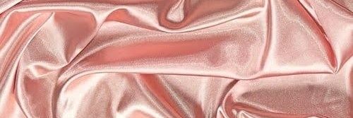 taynaraperugini's profile banner image