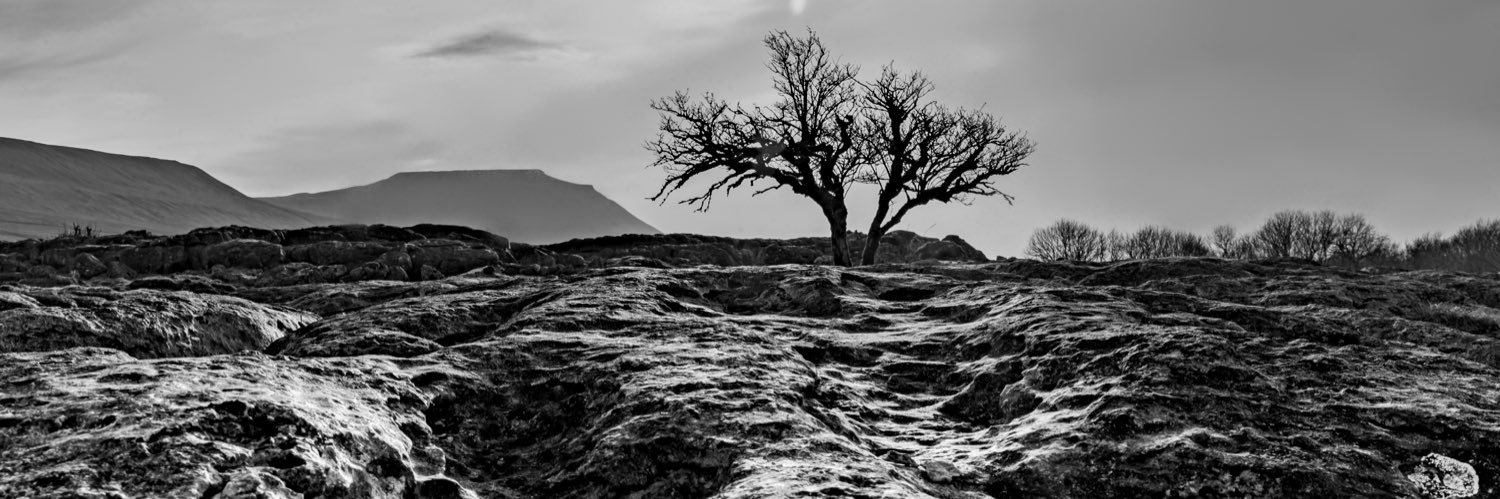 leefisher2011's profile banner image