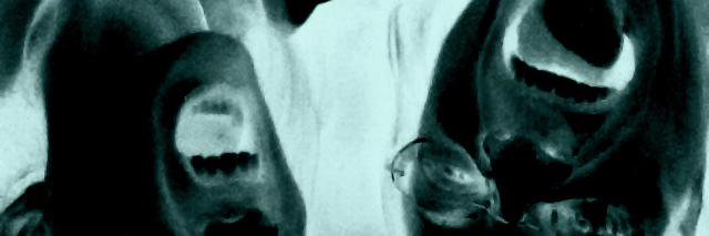 lbinotti's profile banner image