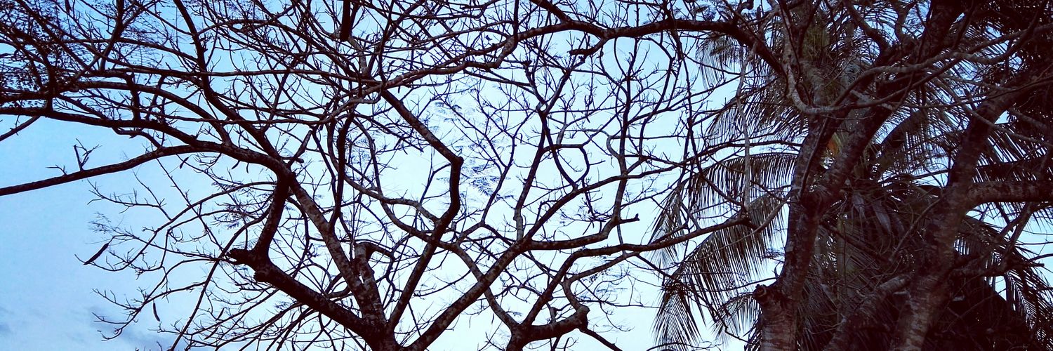 rafagneg's profile banner image