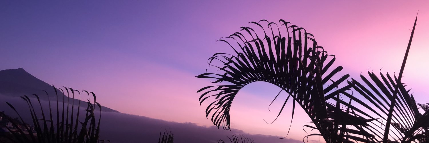 ylegper's profile banner image