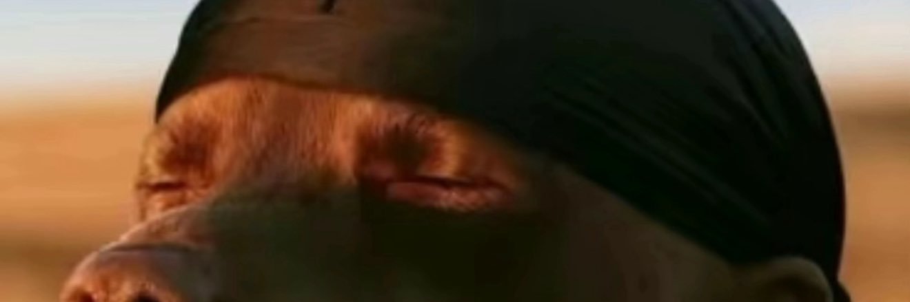 GrubbiusMaximus's profile banner image