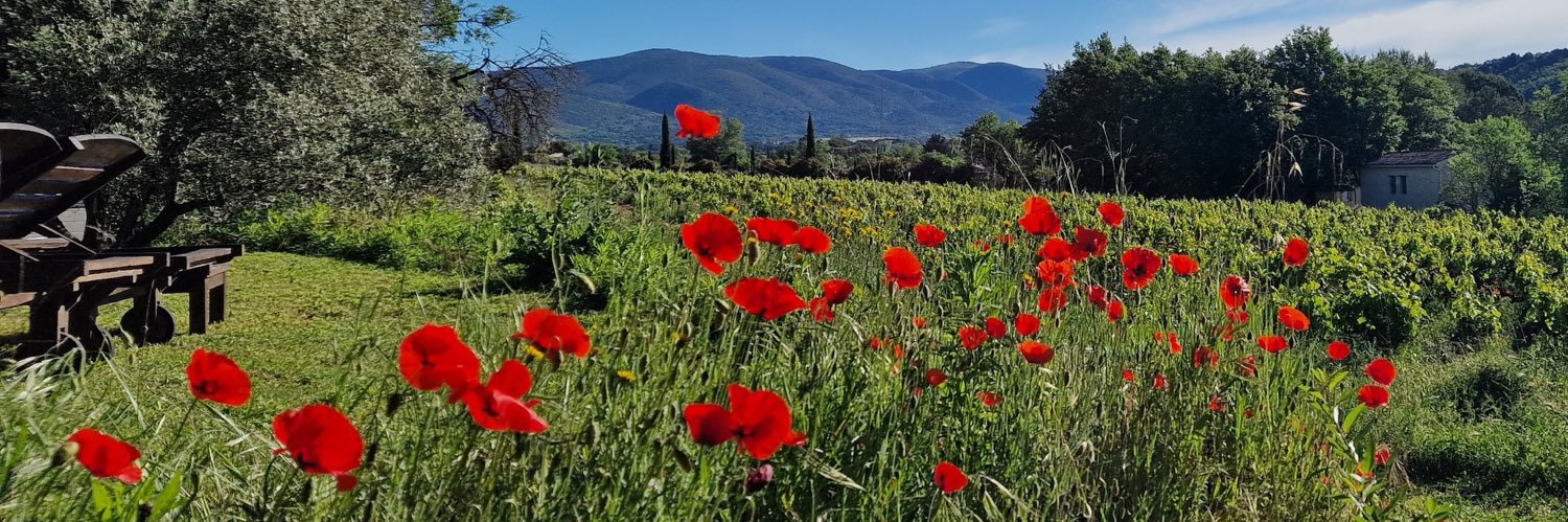 🦮🦮PeeweeStAvril🐈‍⬛🐈 🐈‍⬛ banner