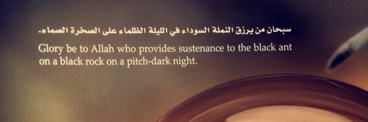 14_nouf's profile banner image