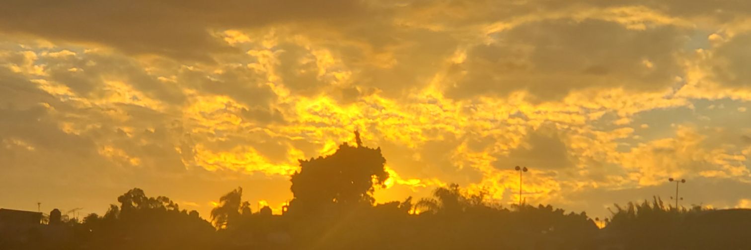 rodsoleone's profile banner image