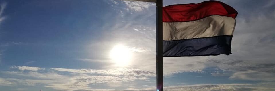 micasugastti's profile banner image