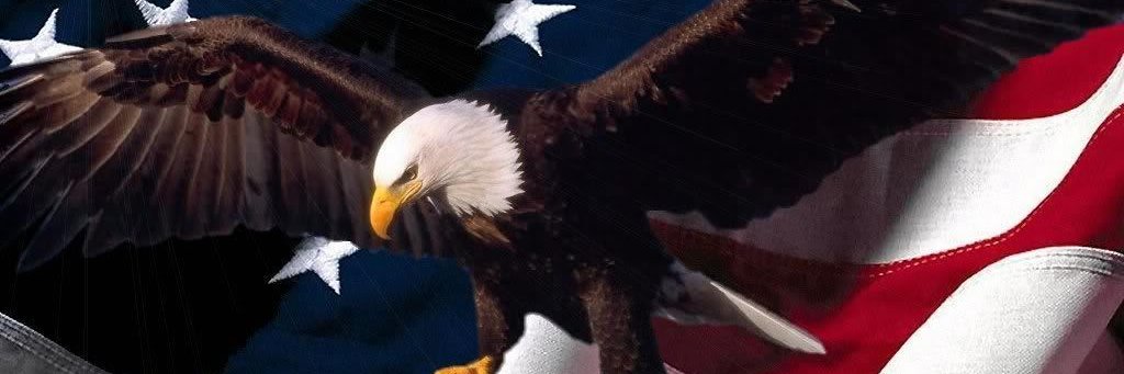 david becker🇺🇸🇺🇸🇺🇸 banner