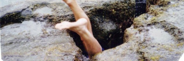 macdaddyvirus's profile banner image