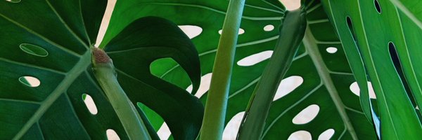 emchinn Profile Banner