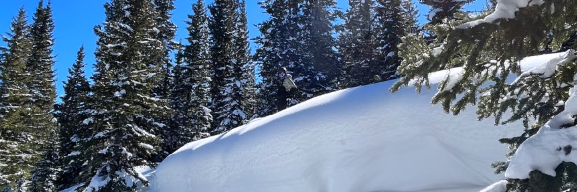 JohnnyD0401's profile banner image