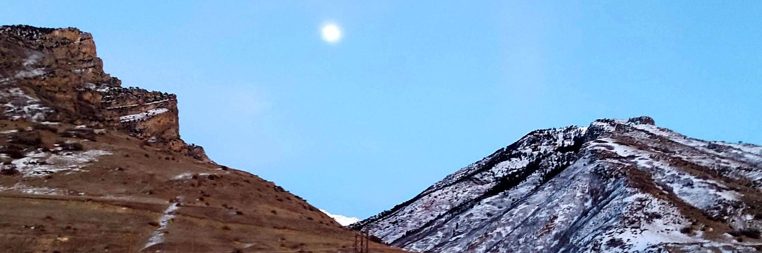 Nicole Parish banner