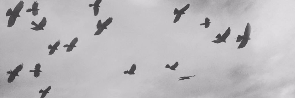 NAJD_21's profile banner image