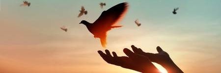 _Me_Heena's profile banner image