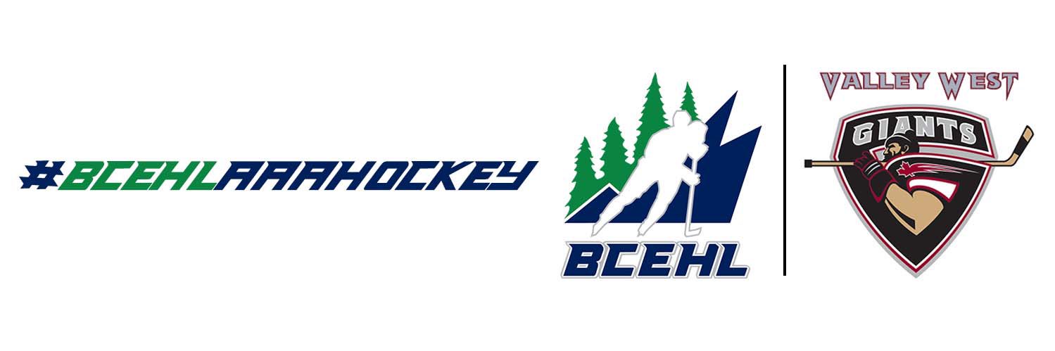 Valley West Giants AAA banner