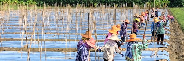 dlarrousse Profile Banner