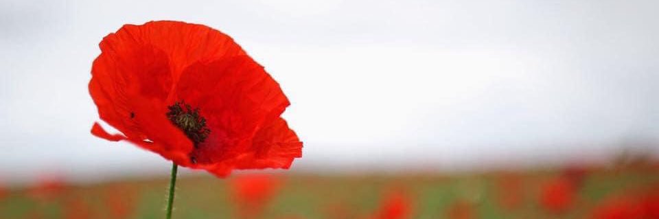 Union Jacked 🇬🇧 banner