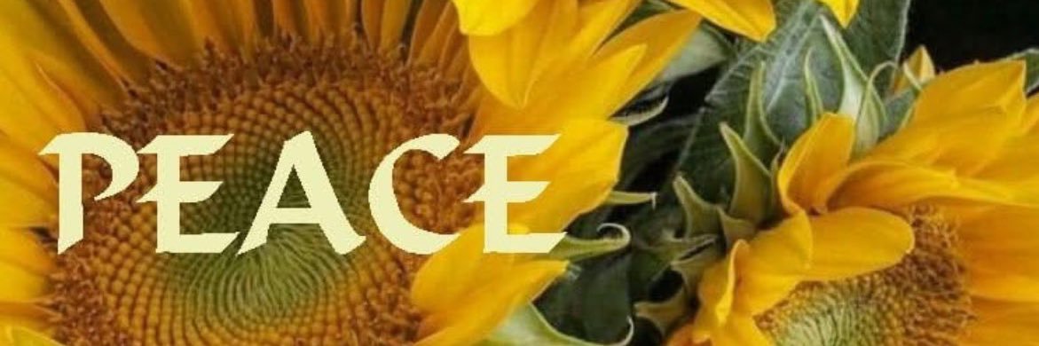 232372's profile banner image