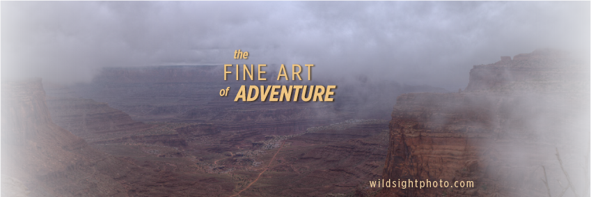 WildsightPhoto's profile banner image