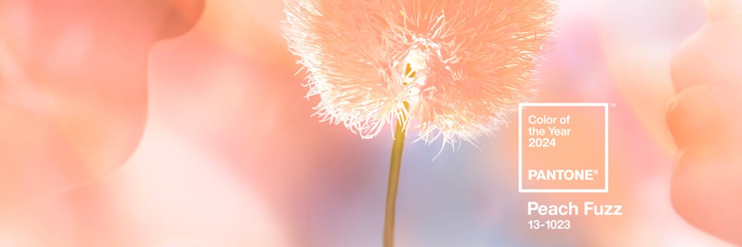 LU__CXS's profile banner image