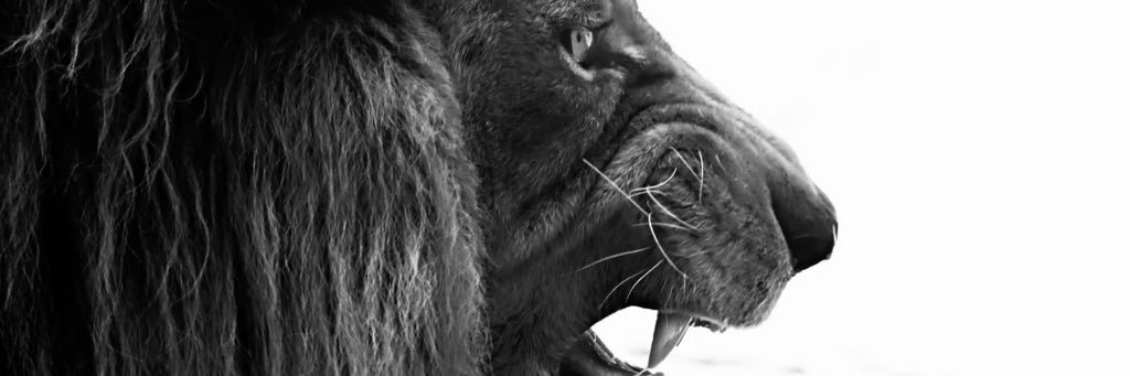 Bayardo092's profile banner image