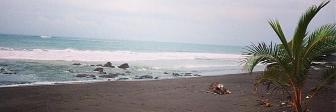 Sydney Savoie❤ banner