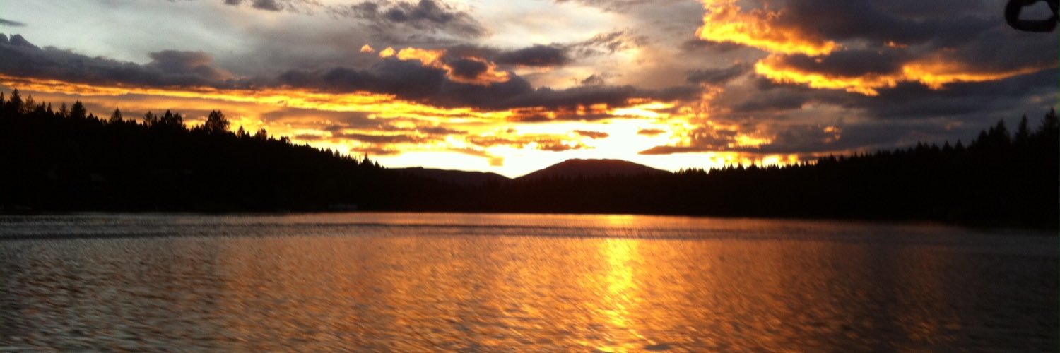 Brianne Harris banner