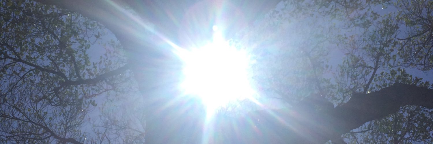 SteviKelly's profile banner image